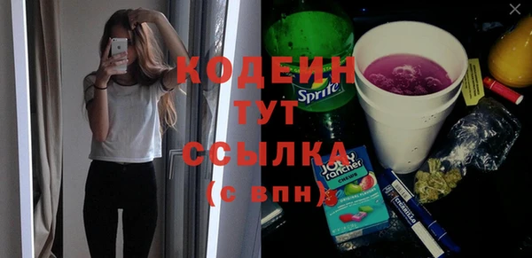 шишки Покачи