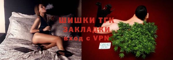 шишки Покачи