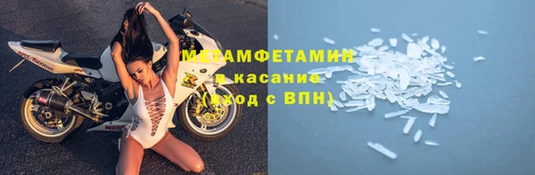 шишки Покачи