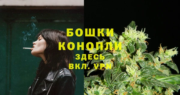 шишки Покачи