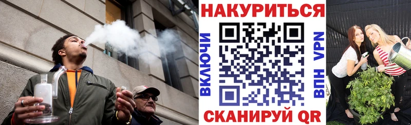 Конопля планчик  Андреаполь 